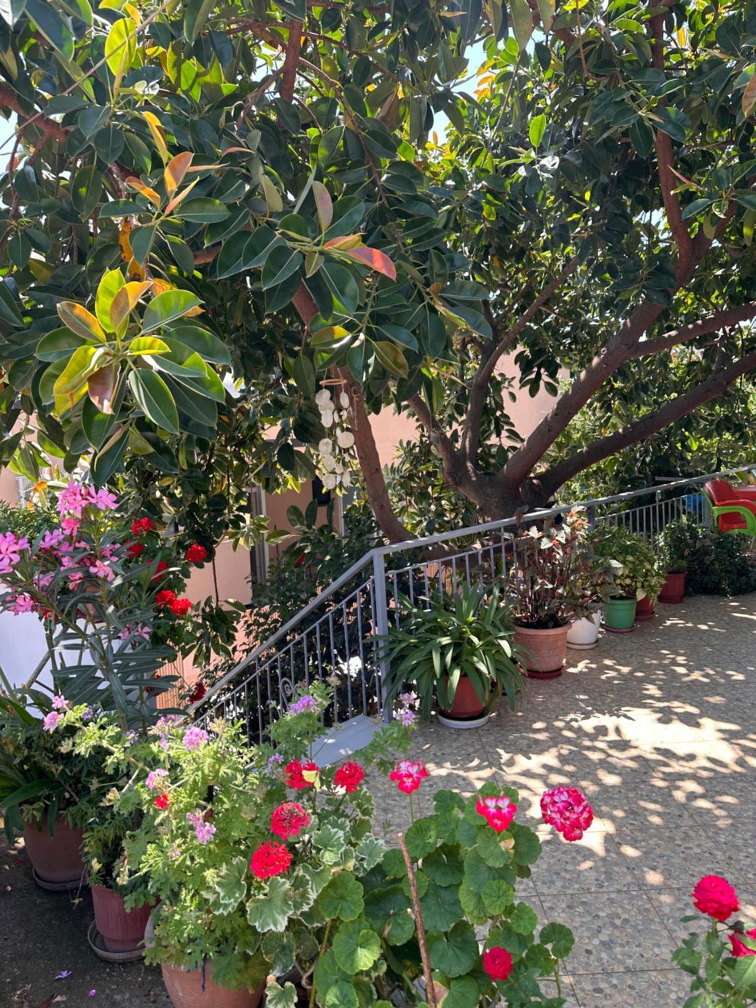 Albi'S Guesthouse Ksamil Exterior foto